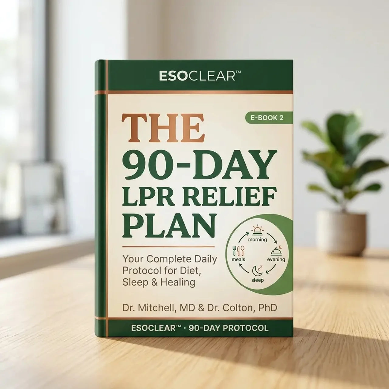 The 90-Day LPR Relief Plan (E-Book)